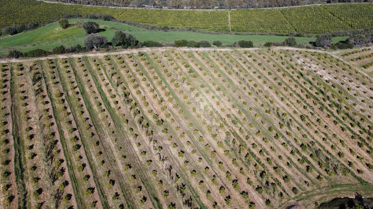 Property main view 6