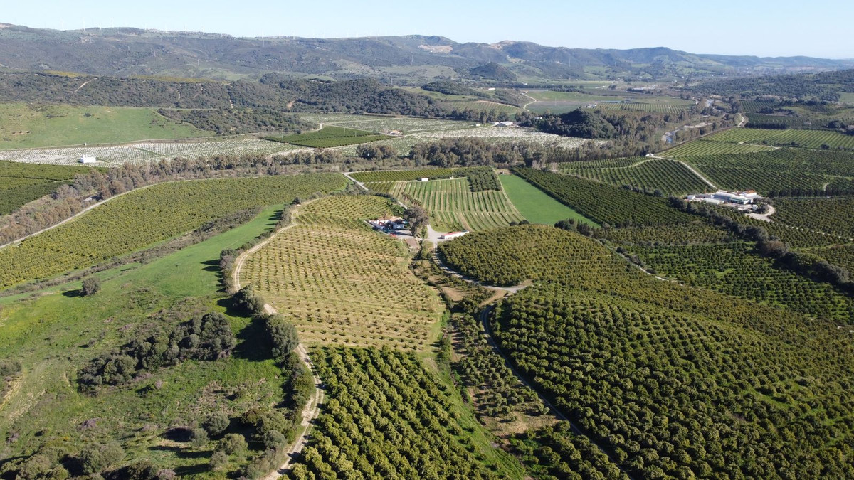 Property main view 7