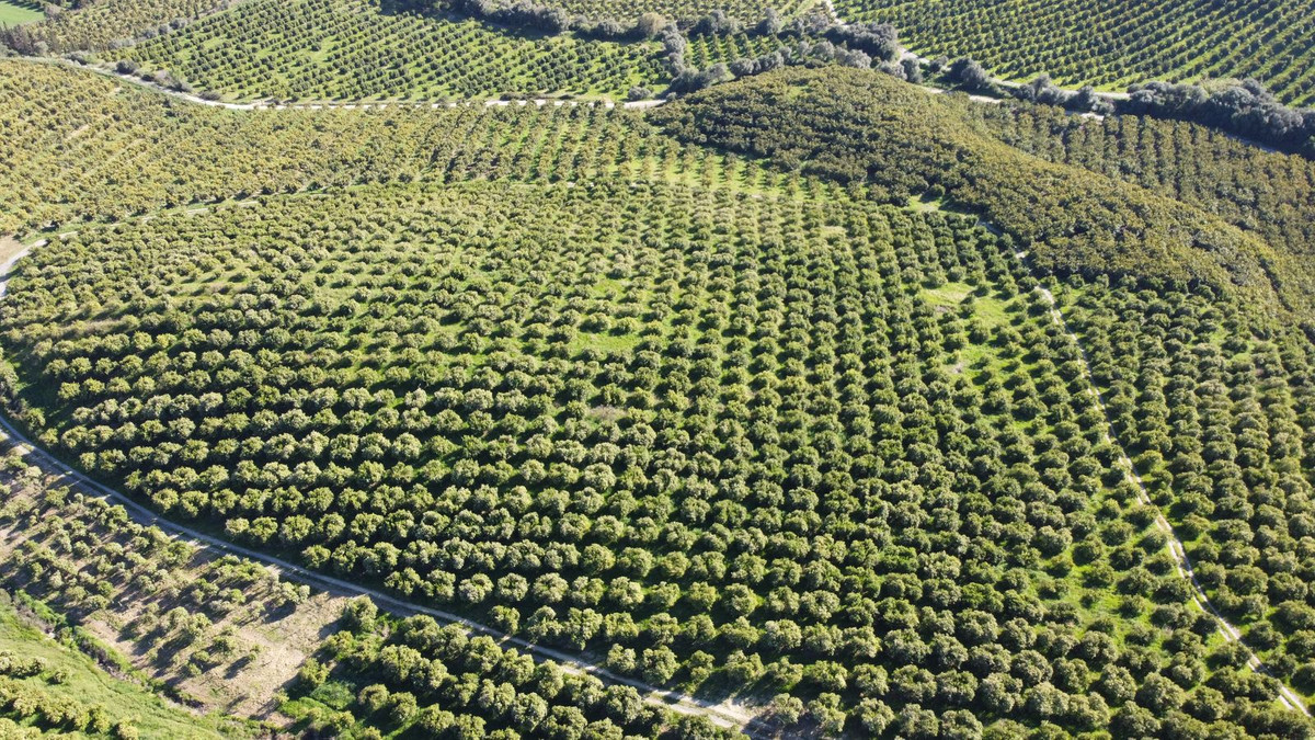 Property main view 8