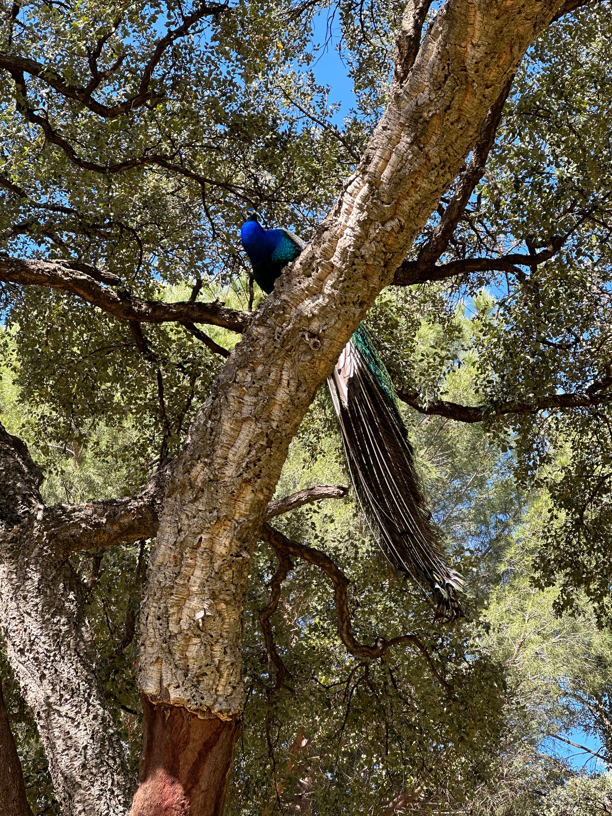 Property main view 14