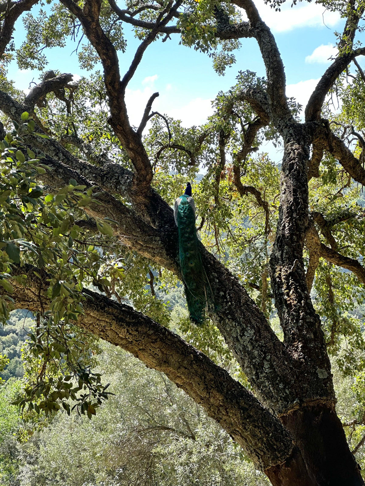 Property main view 15