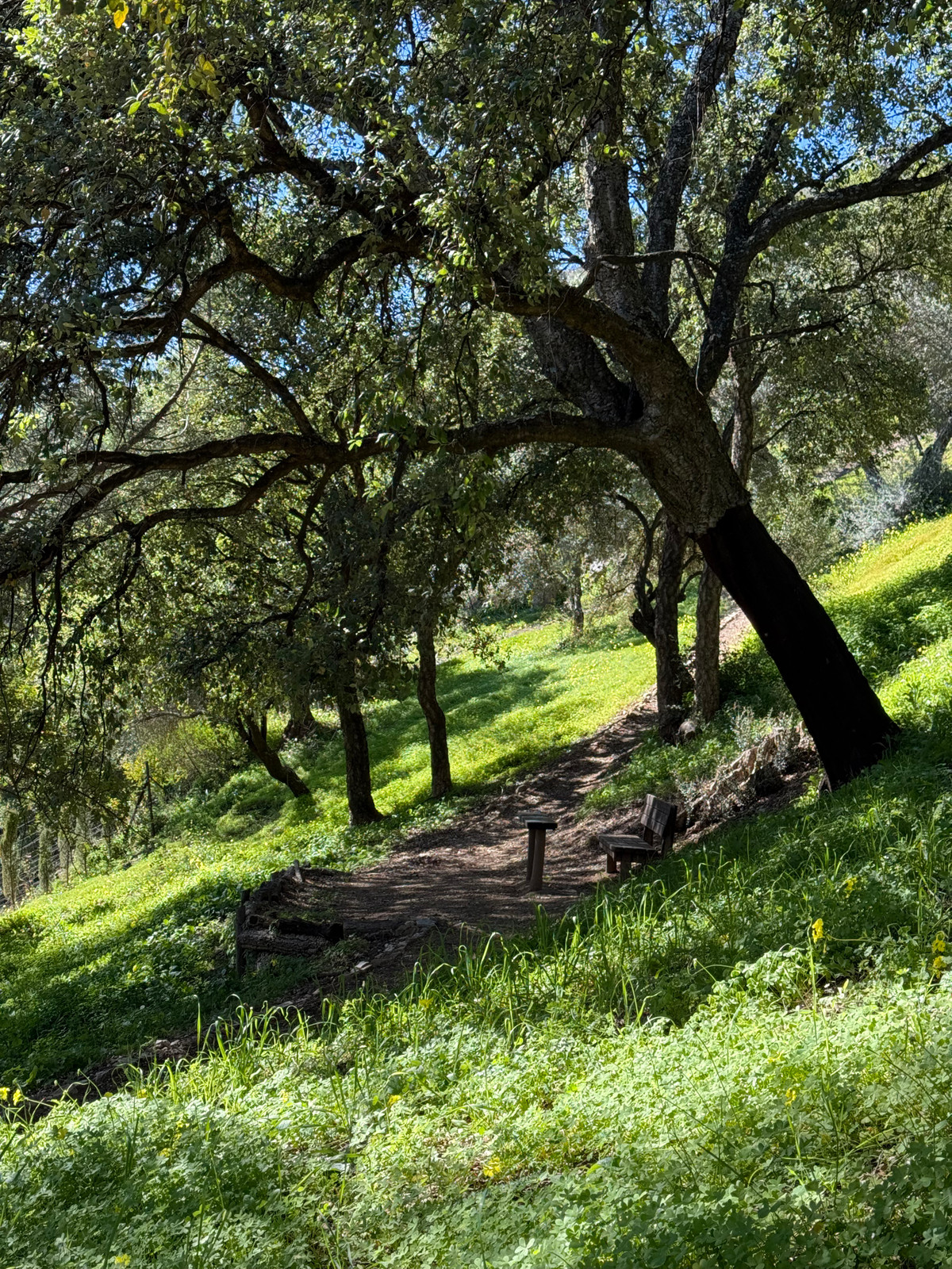 Property main view 5