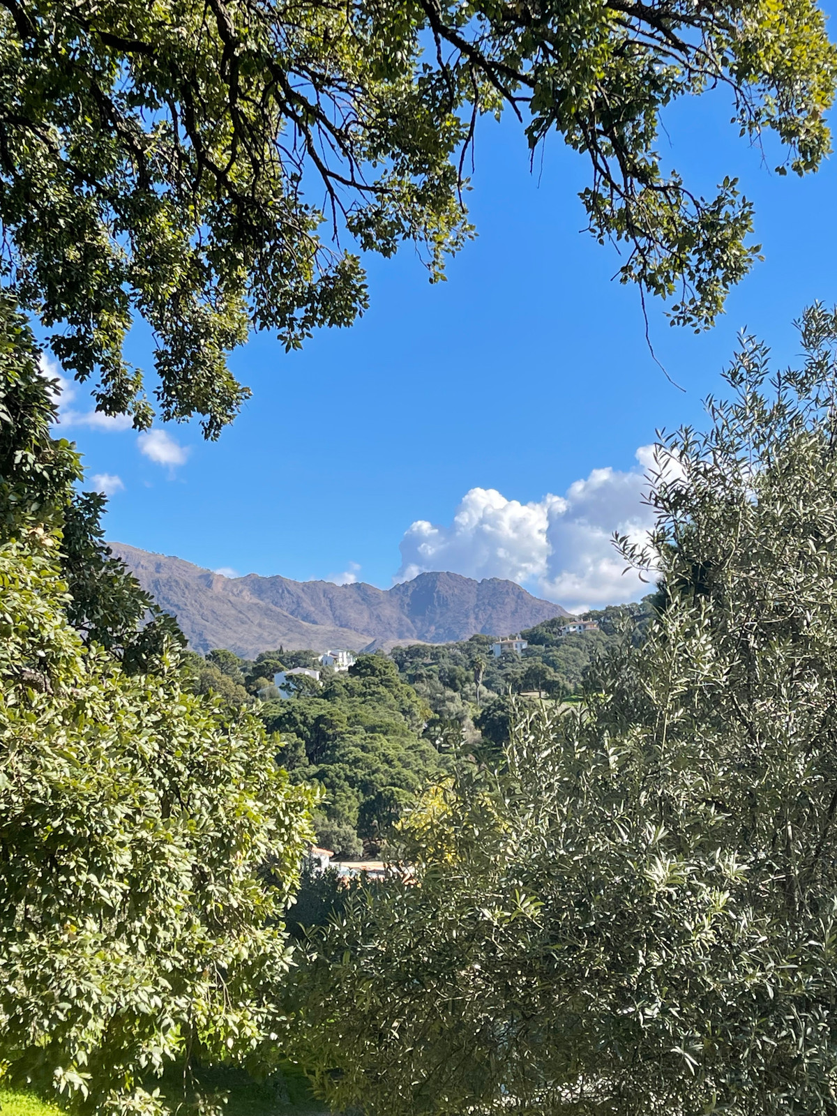 Property main view 8