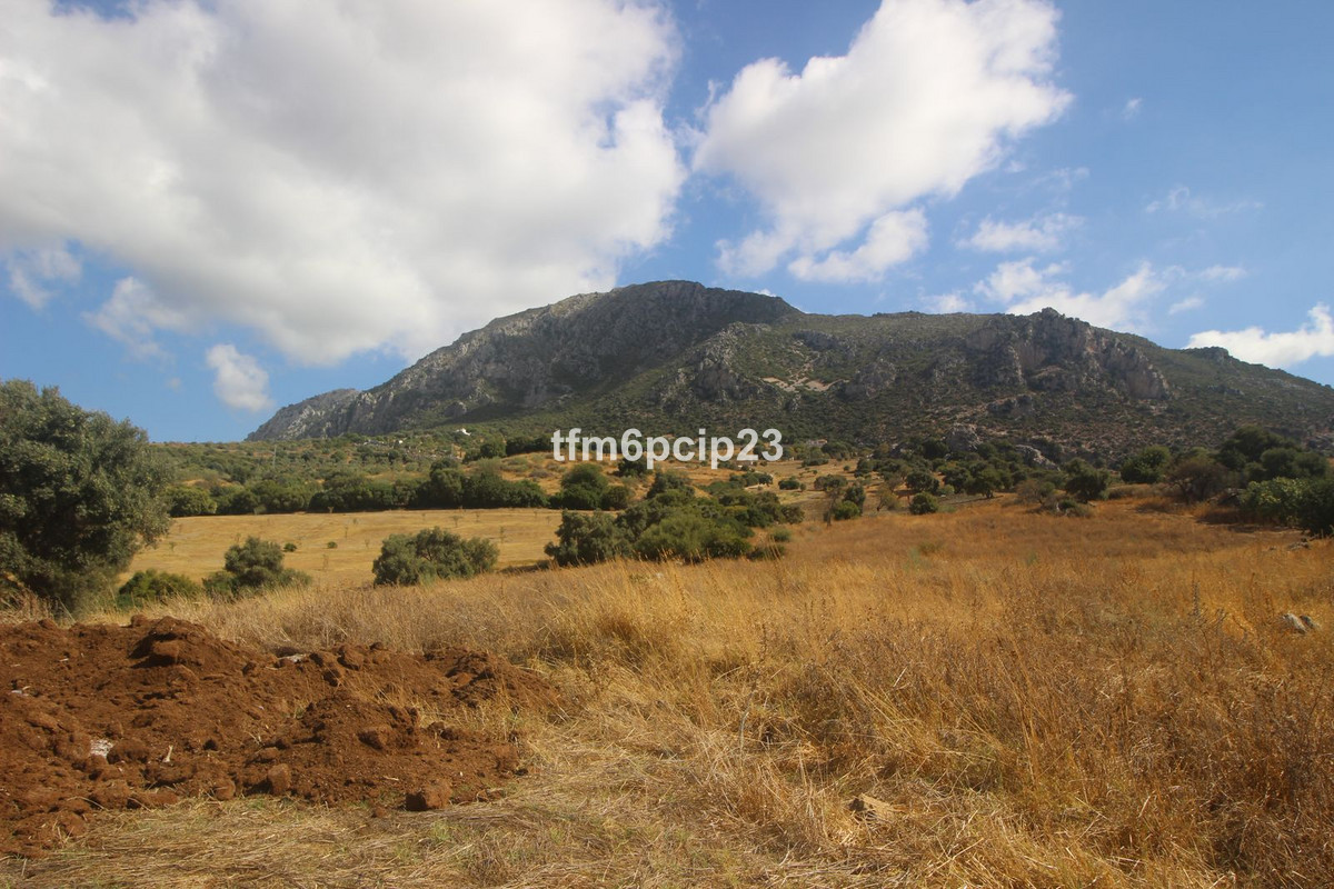 Property main view 11