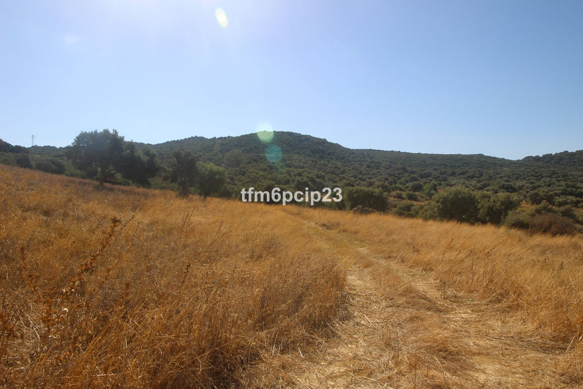 Property main view 12