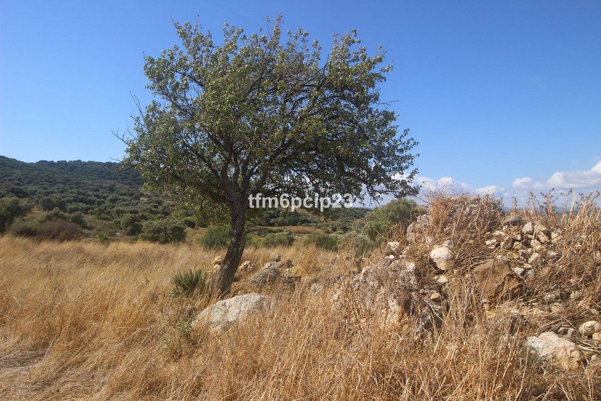 Property main view 13