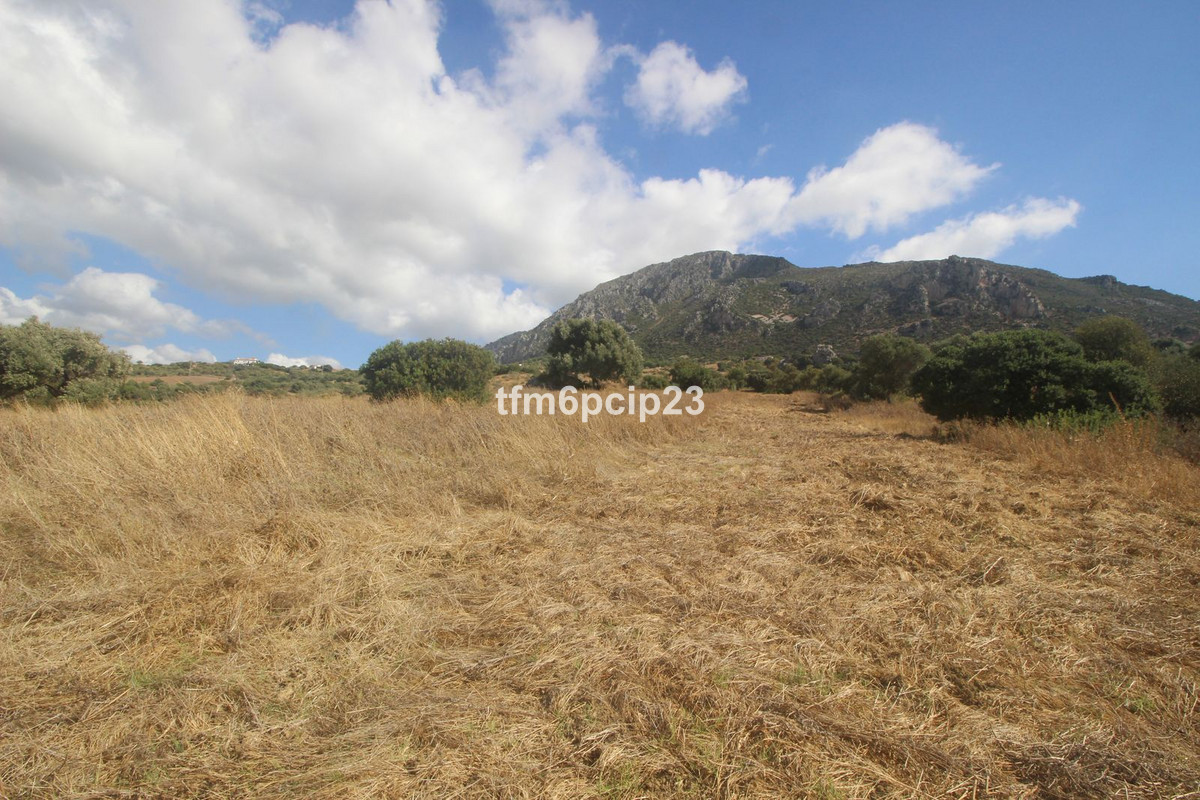 Property main view 4