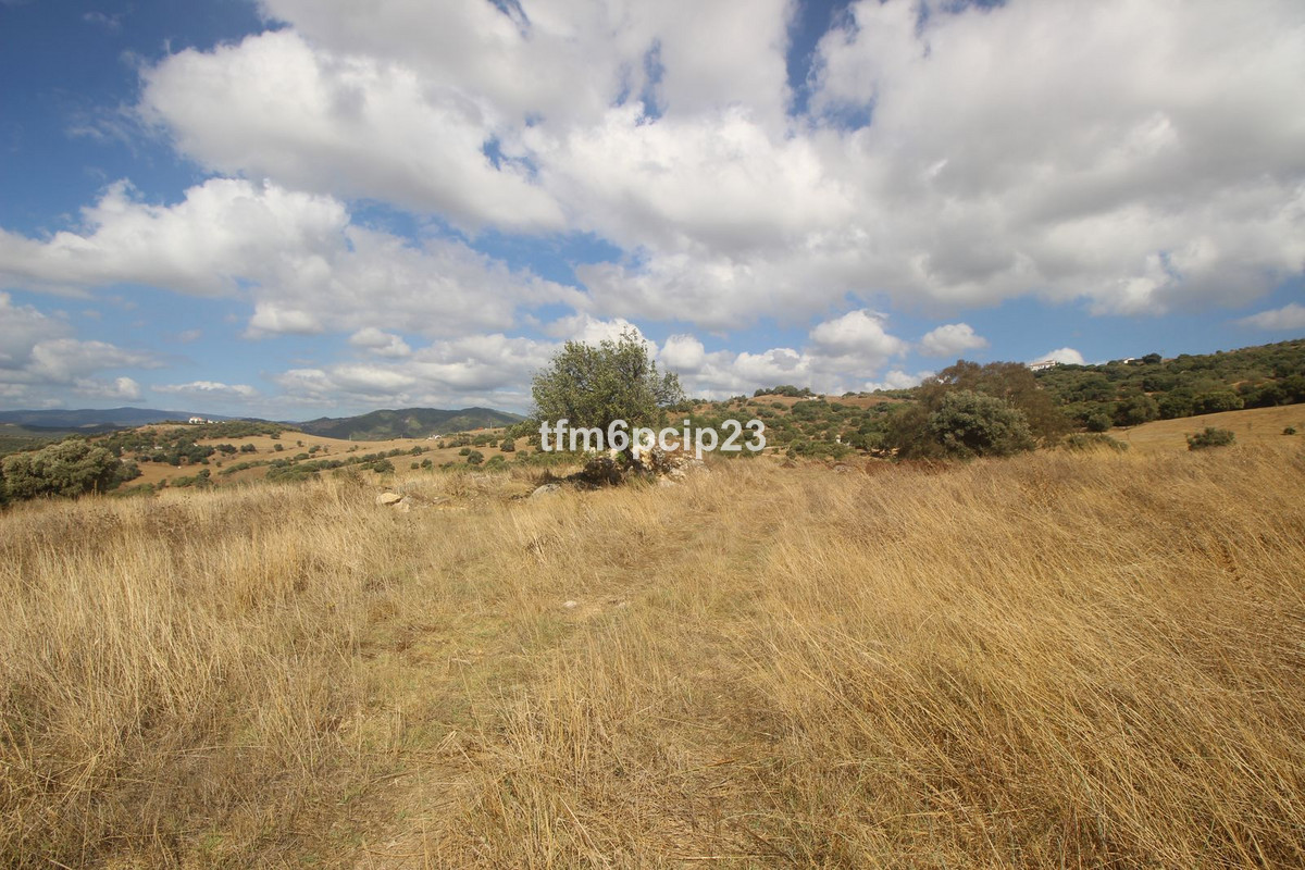 Property main view 6