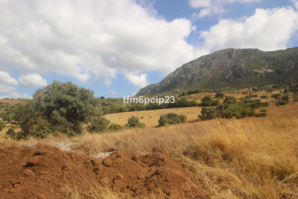 Property main view 8