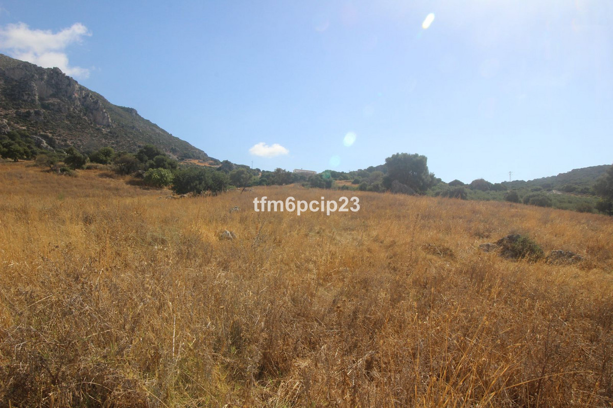 Property main view 9