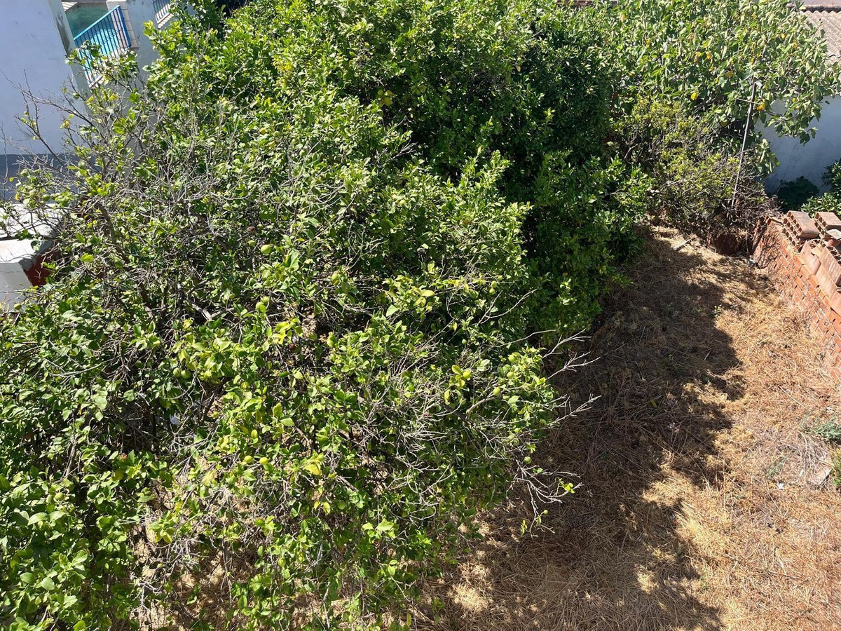 Percelen te koop in Casares | 4 slaapkamers H5350783