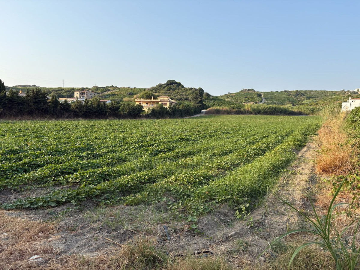 Grond te koop in Casares | 0 slaapkamers H5467666