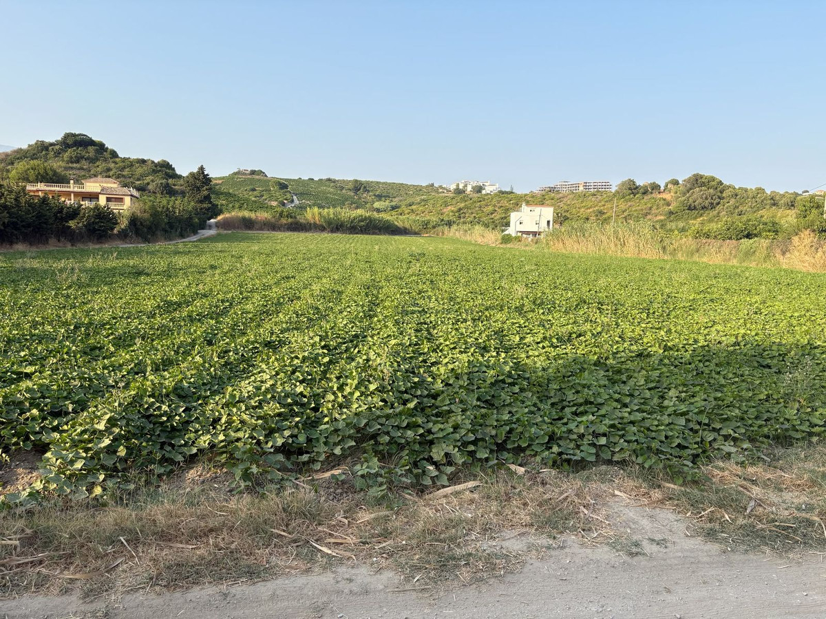 Grond te koop in Casares | 0 slaapkamers H5467666