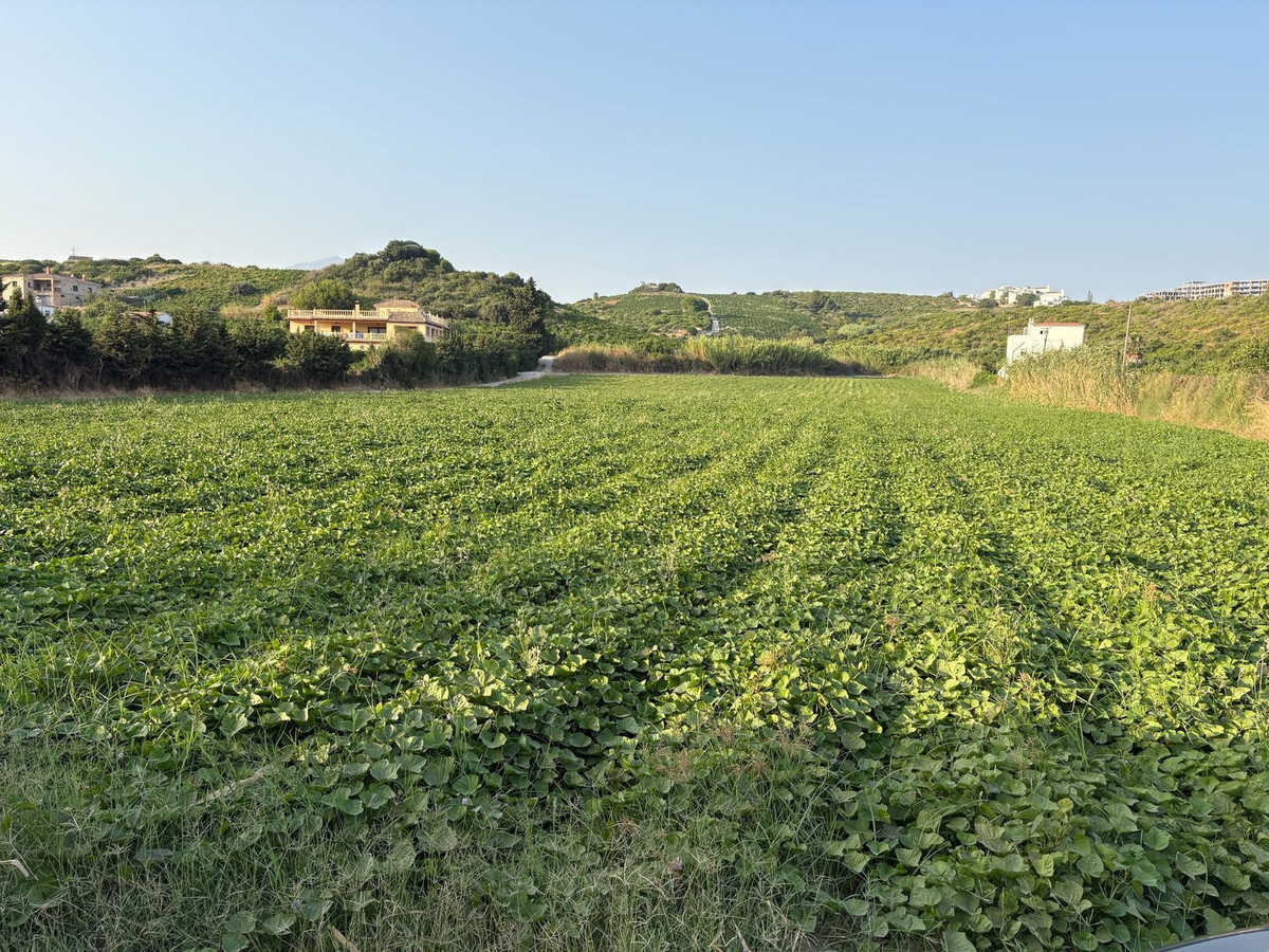 Grond te koop in Casares | 0 slaapkamers H5467666