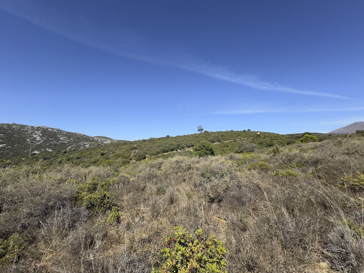 Grond te koop in Casares | 0 slaapkamers H5495377