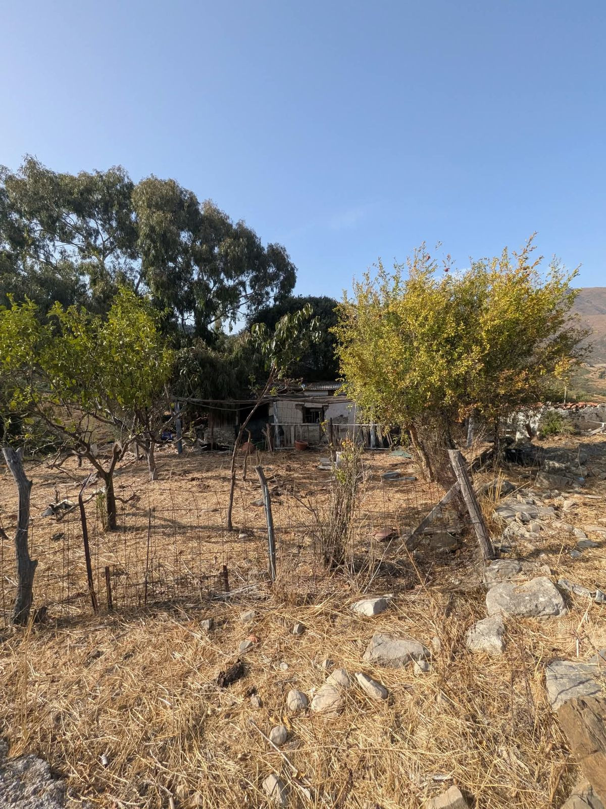 Grond te koop in Casares | 0 slaapkamers H5524651