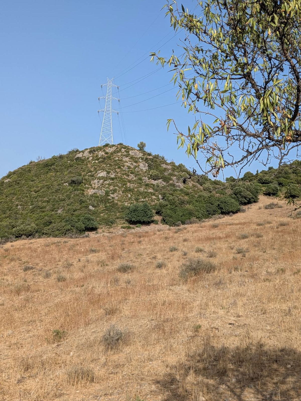 Grond te koop in Casares | 0 slaapkamers H5524651