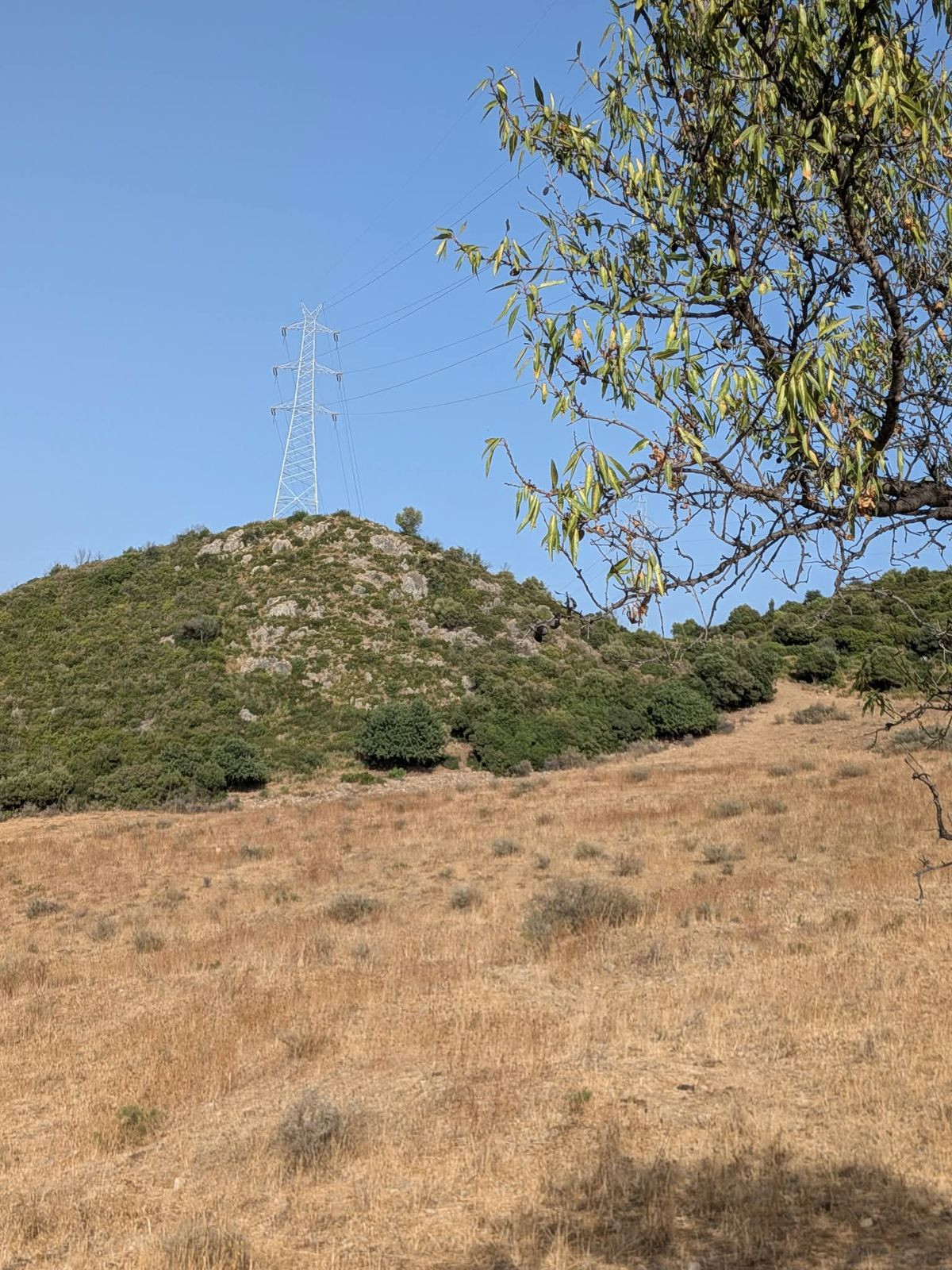 Grond te koop in Casares | 0 slaapkamers H5524651