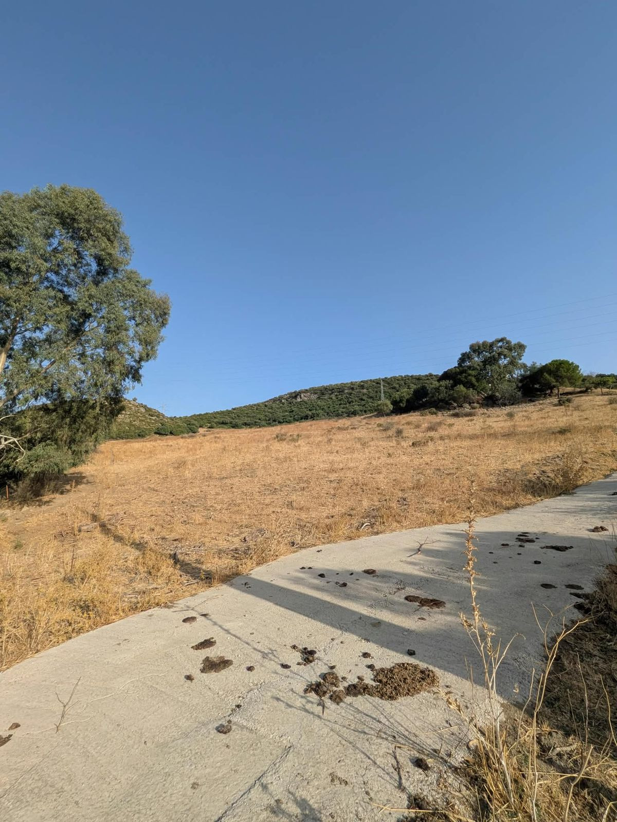 Grond te koop in Casares | 0 slaapkamers H5524651