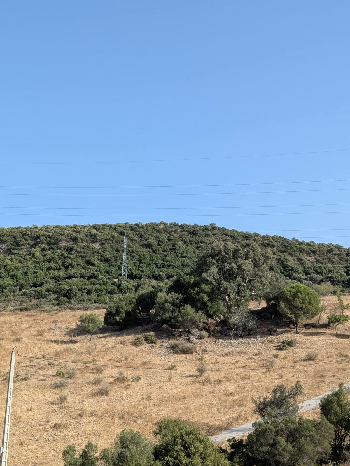 Grond te koop in Casares | 0 slaapkamers H5524651