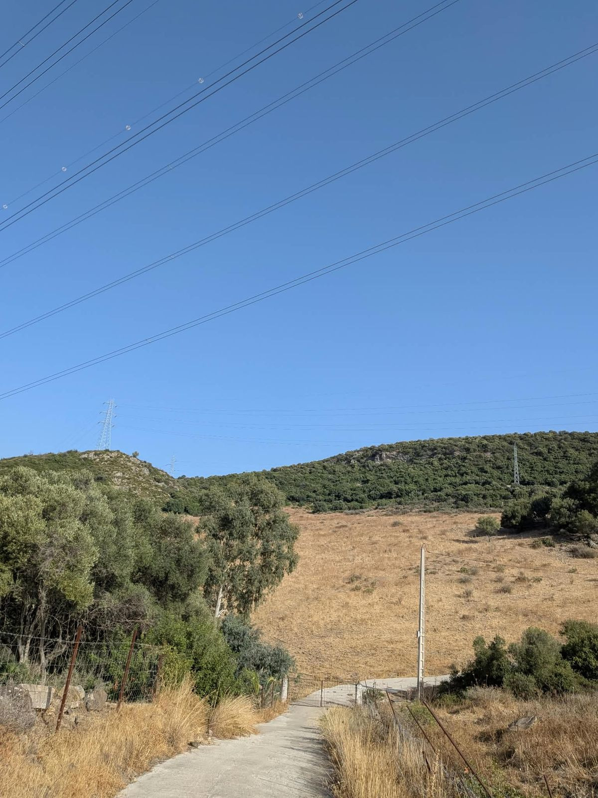 Grond te koop in Casares | 0 slaapkamers H5524651