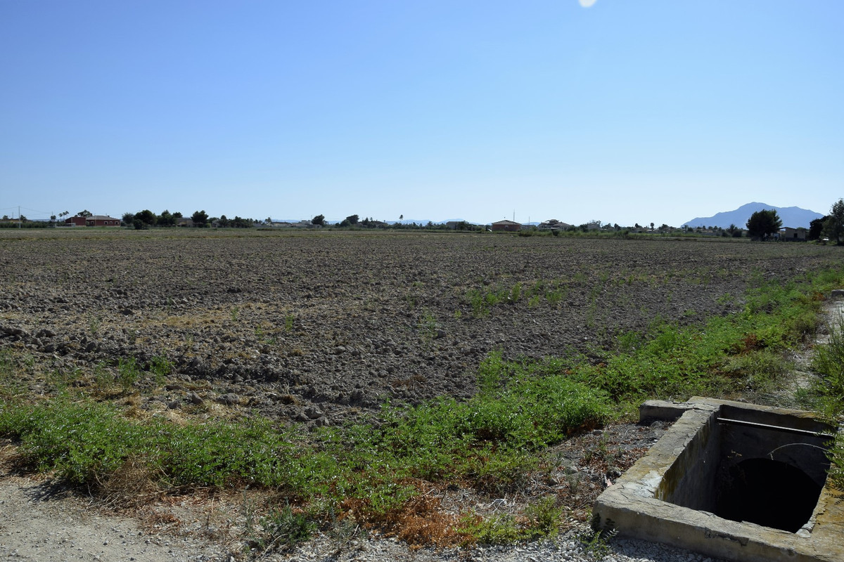 Grond te koop in Catral | 0 slaapkamers H5011666