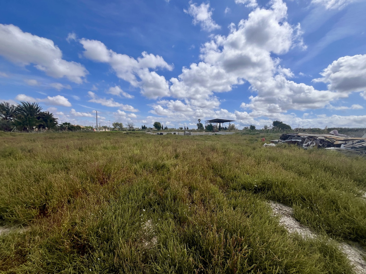 Grond te koop in Catral | 0 slaapkamers H5023609