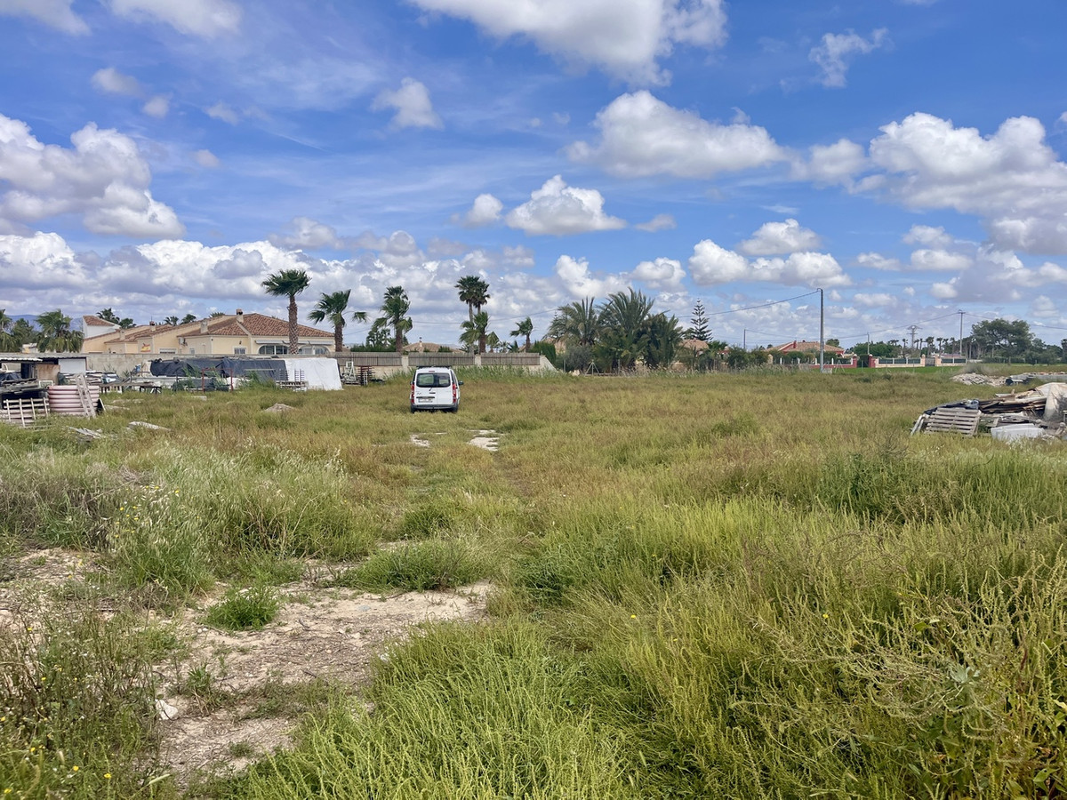 Grond te koop in Catral | 0 slaapkamers H5023609