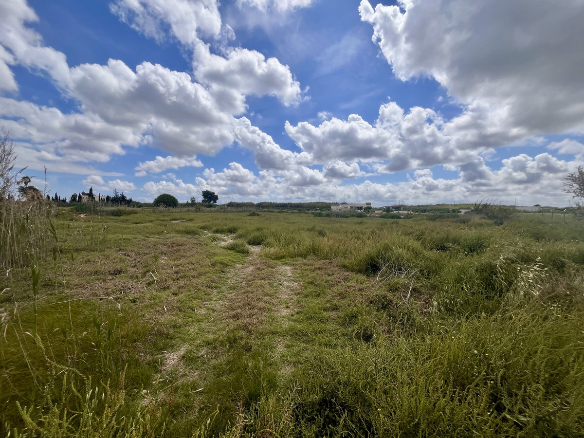 Grond te koop in Catral | 0 slaapkamers H5023609