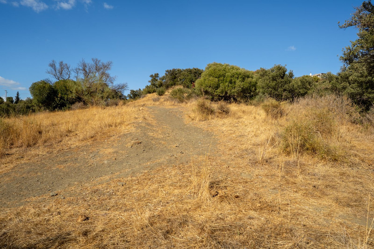 Property main view 11