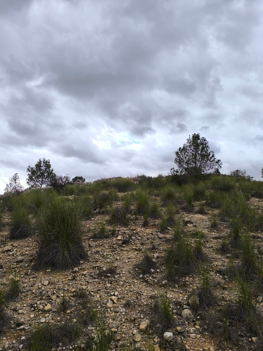 Grond te koop in Chinorlet | 0 slaapkamers H5010991