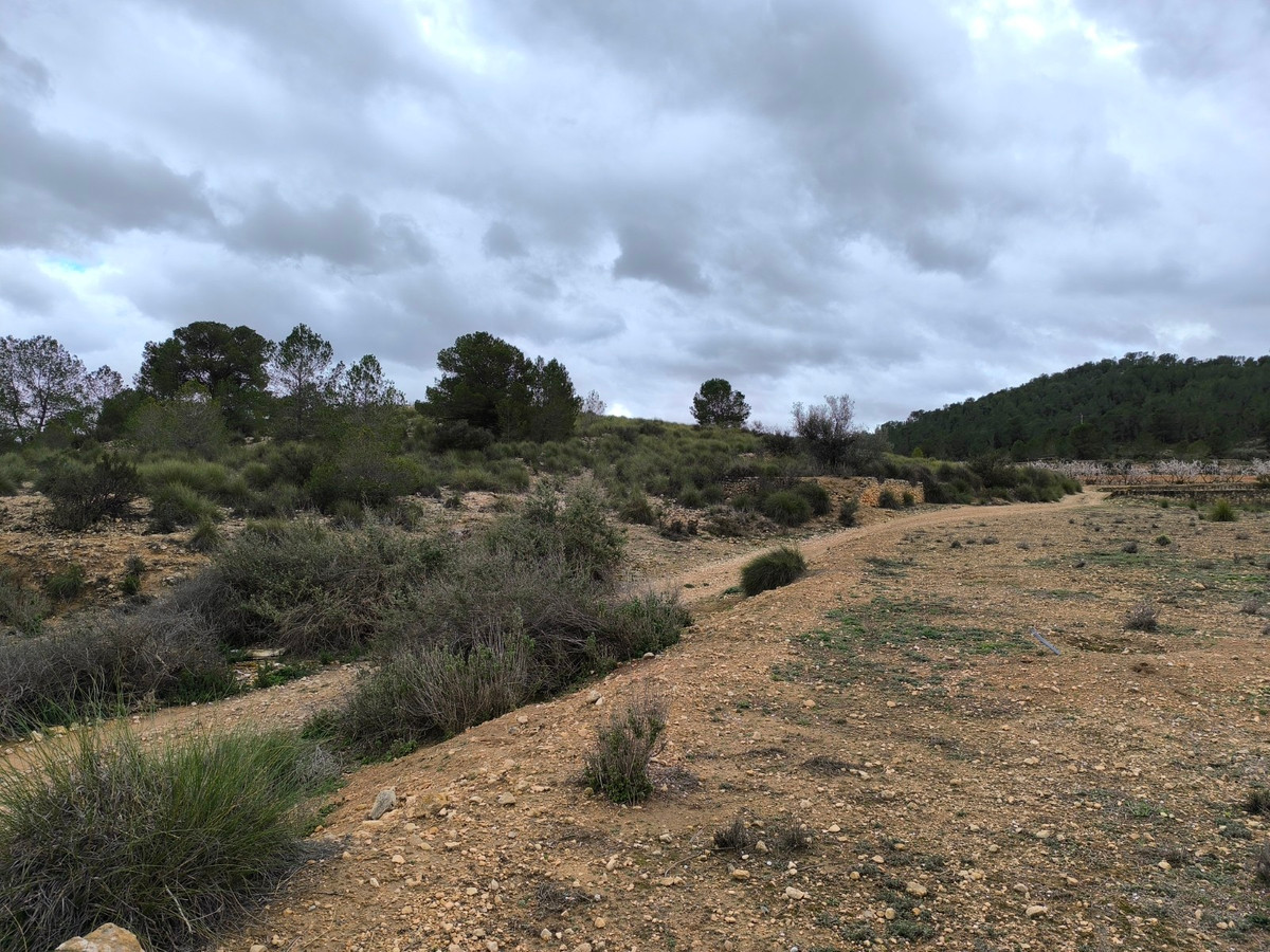 Grond te koop in Chinorlet | 0 slaapkamers H5010991