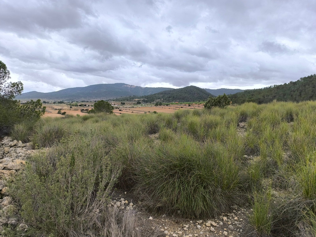 Grond te koop in Chinorlet | 0 slaapkamers H5010991