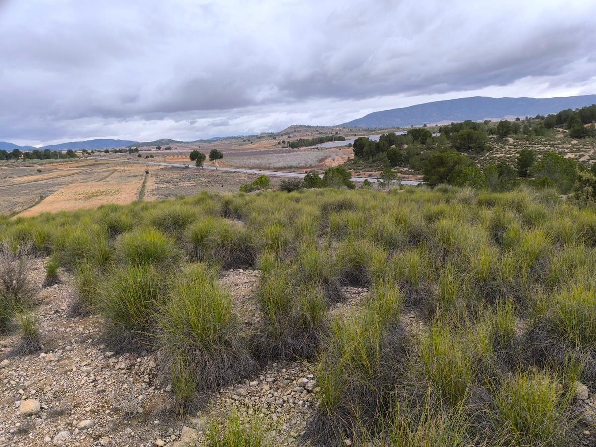 Property main view 18