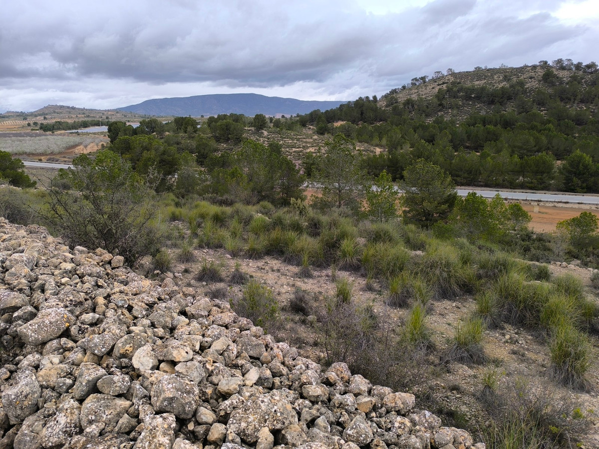 Property main view 5