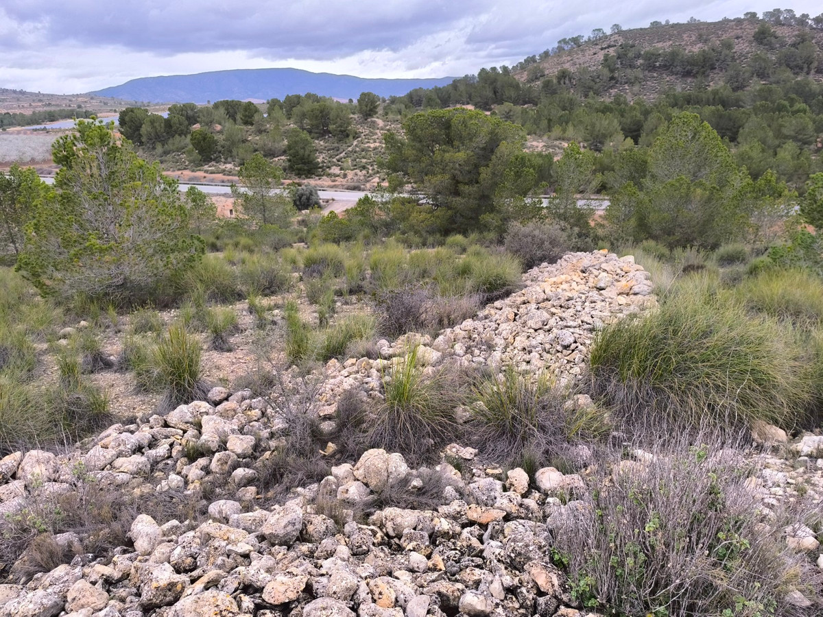 Property main view 7