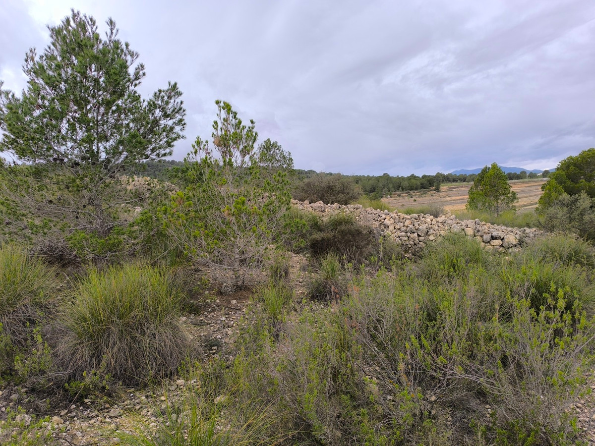 Property main view 9