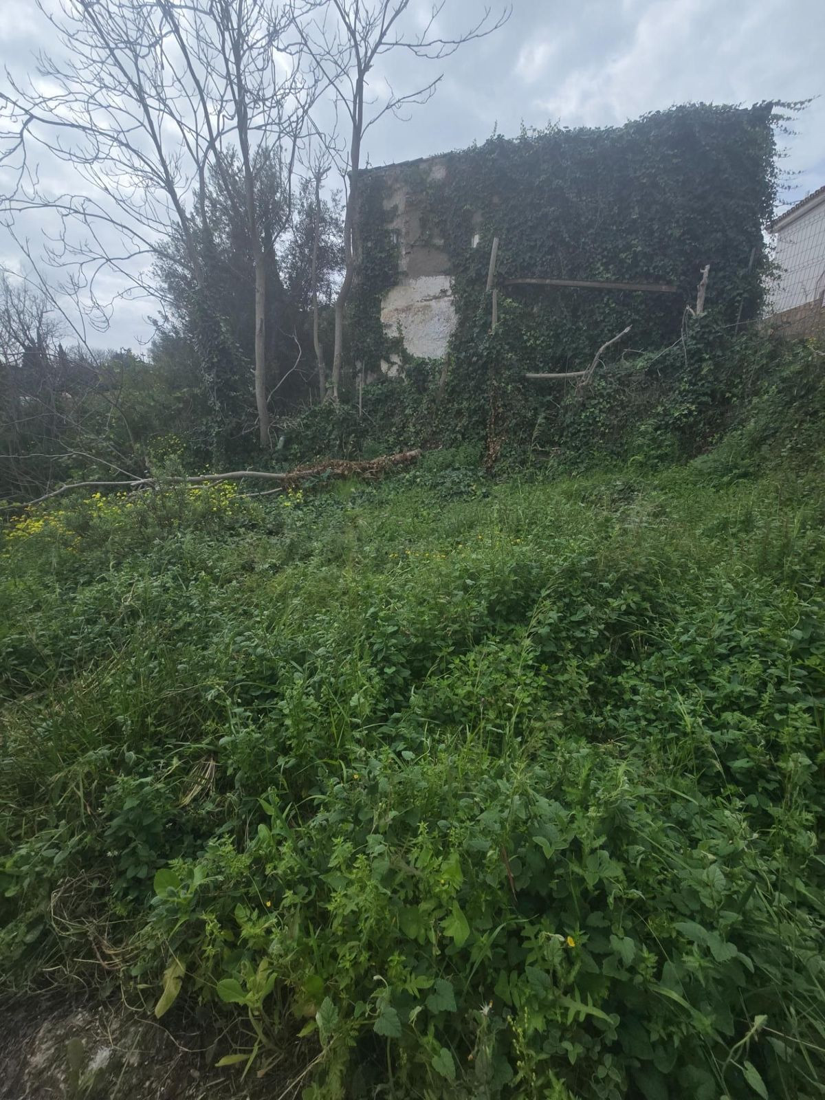 Percelen te koop in Churriana | 0 slaapkamers H5048644
