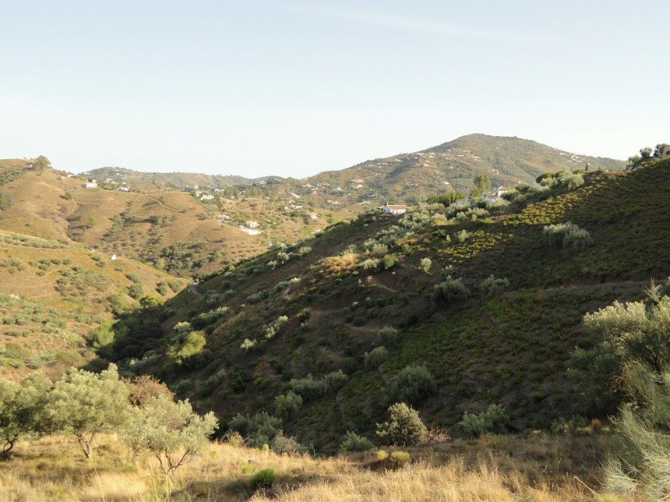 Grond in Cómpeta-20