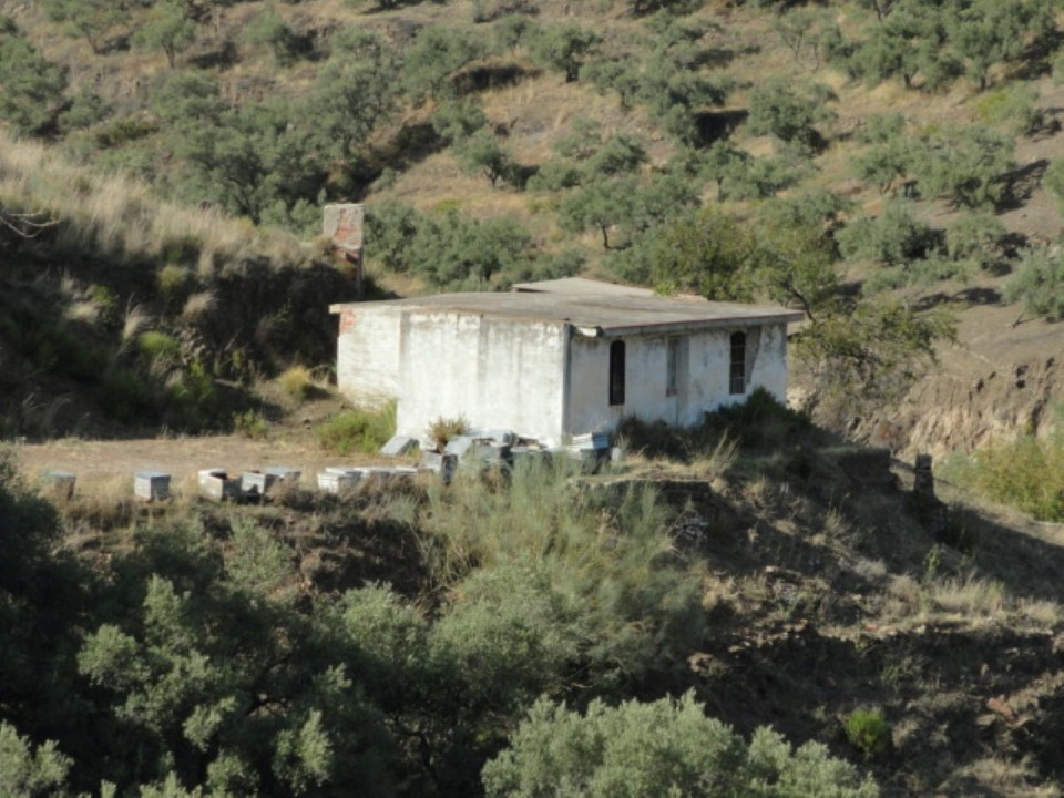 Grond in Cómpeta-3