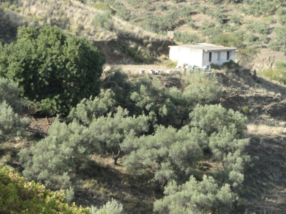 Grond in Cómpeta-4