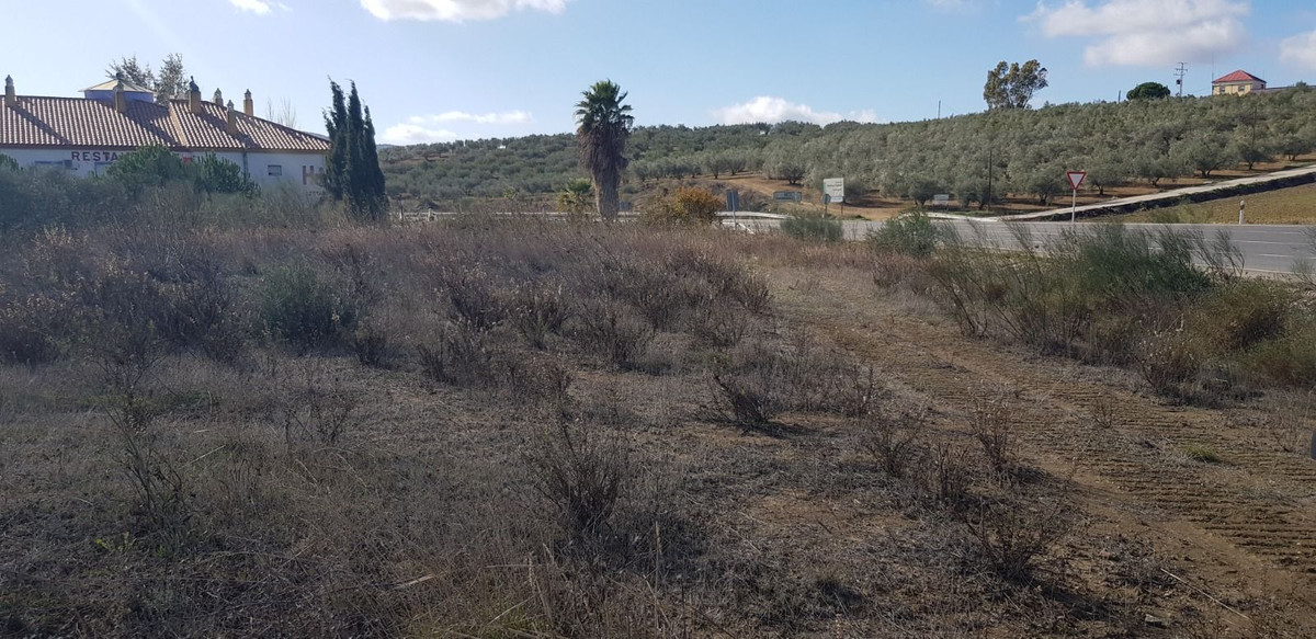 Property main view 2