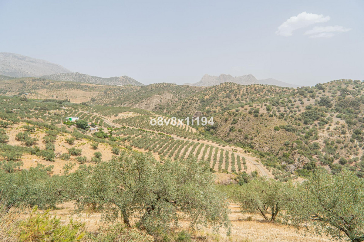 Property main view 13