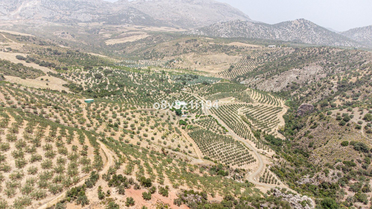 Property main view 49