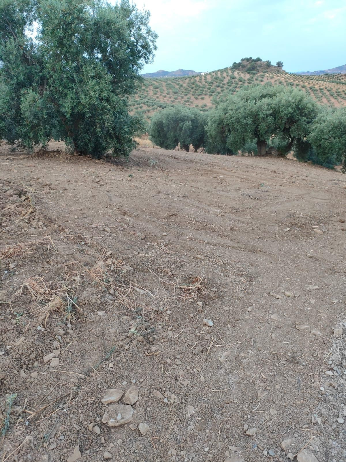 Property main view 5