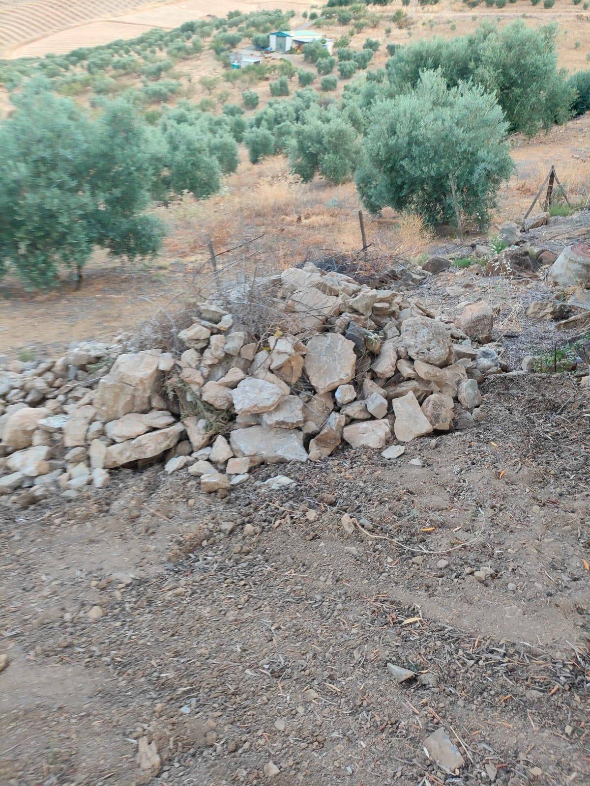 Property main view 6