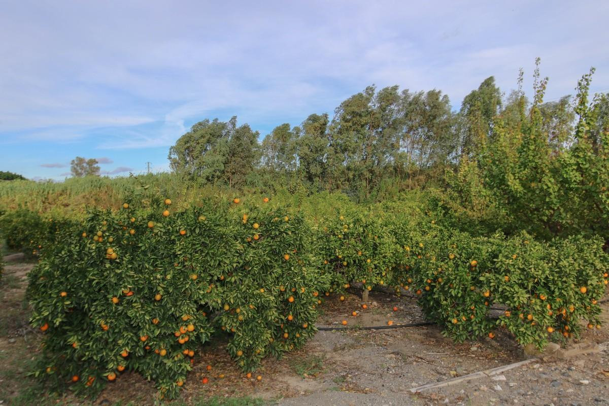 Property main view 16