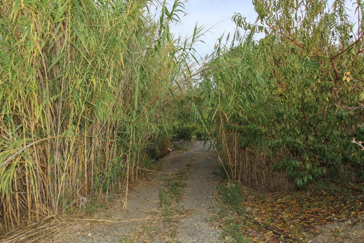 Property main view 26