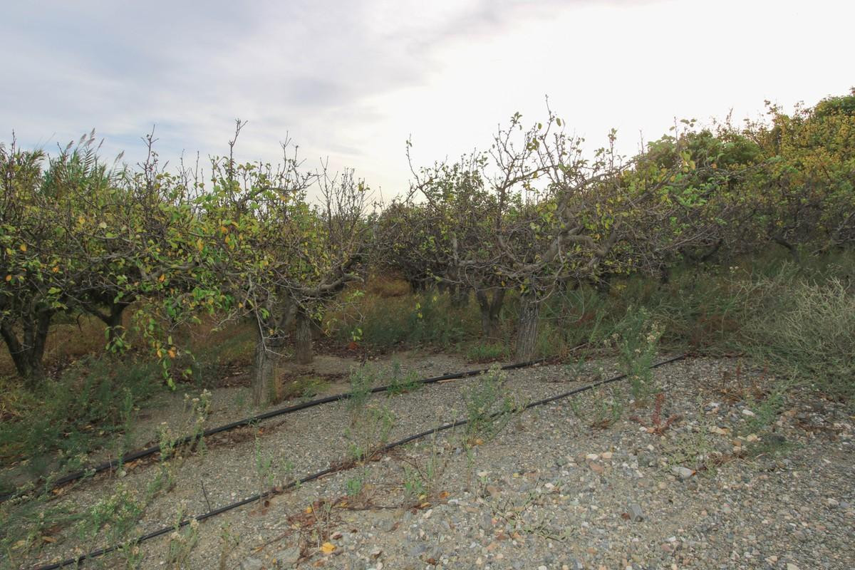 Property main view 31