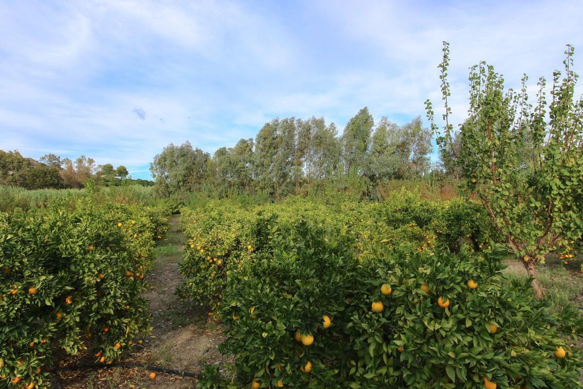 Property main view 32